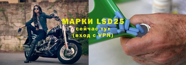 хмурый Алексин