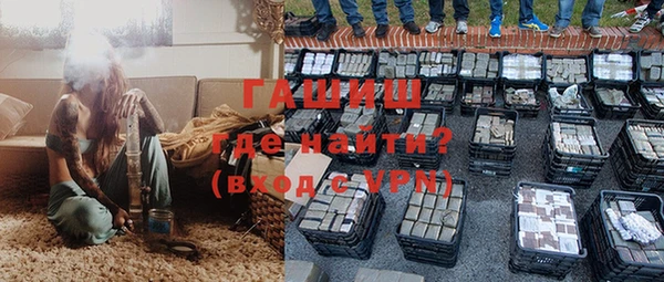 хмурый Алексин