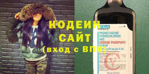 хмурый Алексин