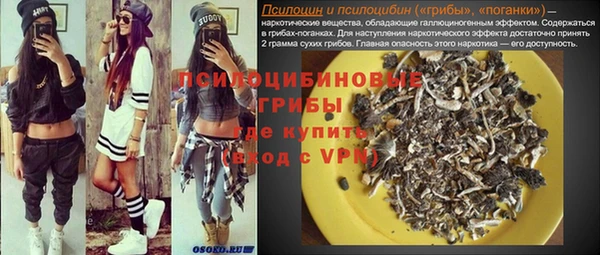 хмурый Алексин