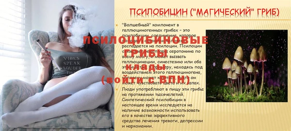 хмурый Алексин