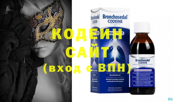 хмурый Алексин